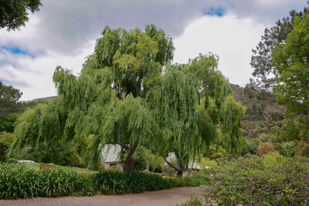 Houtkapperspoort Mountain Cottages Cape Town Exterior photo